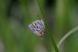 110618us2.jpg