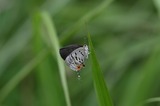 110618us3.jpg