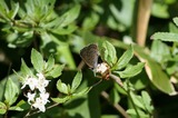 110807gm.jpg