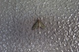 110814g.jpg