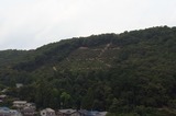 11081602.jpg