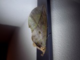 110903a.jpg