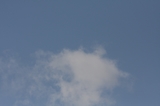 120214