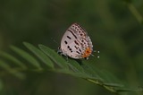 120610