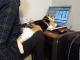 140303fumi.jpg
