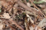 140412_06.JPG