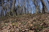 140412_08.JPG