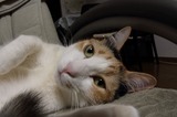 14041321_10.JPG