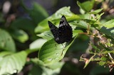 140510_43.JPG