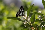 140518_03.JPG
