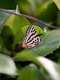 140614_03.JPG