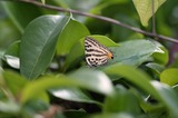 140614_04.JPG