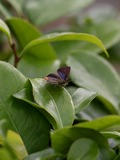 140614_06.JPG