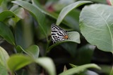 140614_33.JPG