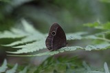 140621_02.JPG