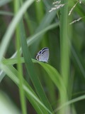 140621_05.JPG