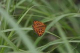 140621_10.JPG