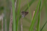 140621_19.JPG
