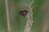 140621_25.JPG