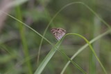 140621_32.JPG