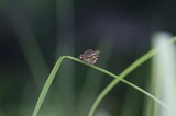 140621_39.JPG