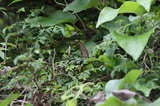 140705_12.jpg