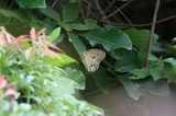 140705_16.JPG