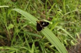 140712_06.JPG