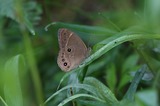 140712_08.JPG