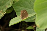 140719_24.JPG