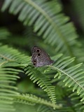 140719_50.JPG