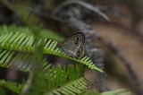 140719_68.JPG