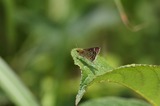 140721_64.JPG