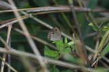 140907_46.JPG