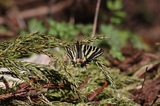 150503_08.jpg
