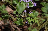 150503_19.jpg