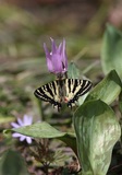150503_33.jpg
