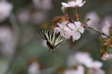 150503_52.jpg