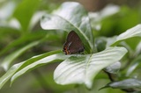 150530_081.jpg