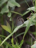 150607_022.jpg