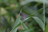 150607_023.jpg