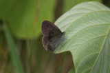 150607_058.jpg