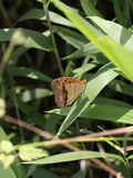 150613_07.jpg