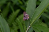 150613_26.jpg