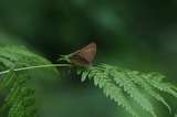 150719_161.jpg