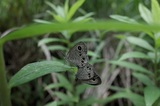 150719_1776.jpg