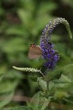 150811_46.jpg