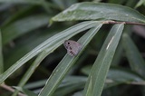 150905_07.jpg