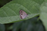 150905_87.jpg