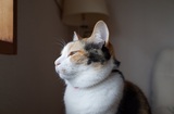 160417_081914.jpg